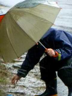 Soaker In Store For Rockland, This Time With Fog