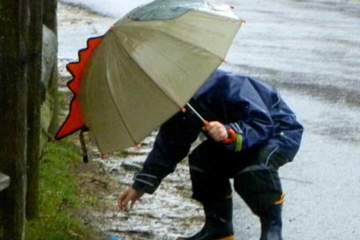 New Jersey residents may want to keep umbrellas handy with rain in the forecast for the next several days. 