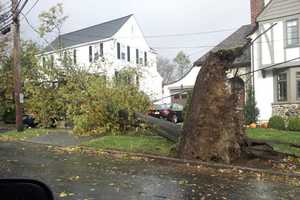 Harrison Receives $370,000 From FEMA For Sandy Cleanup