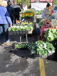 Down To Earth Farmers Markets Hosts Screening Of 'The Greenhorns'