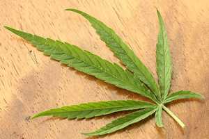 Medical Marijuana Dispensary Opens In Hudson Valley