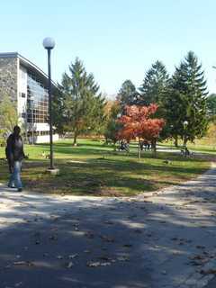 Westchester Community College, Local Chambers Of Commerce Launch Seed Tank