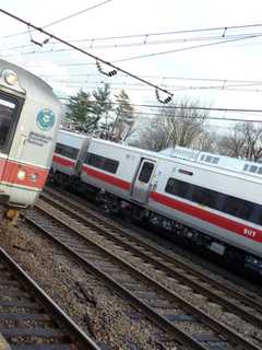 Metro-North Restores Train Service On New Canaan Branch After Fallen Tree