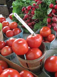 Rent An Apartment? Learn Container Gardening In Hackensack