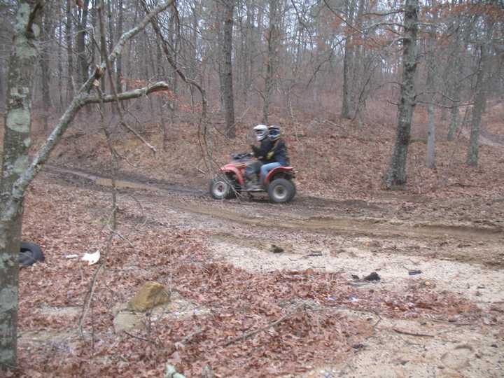 ATVs are not permitted in Connecticut&#x27;s state parks. 