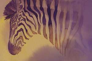 Wildlife Artist To Visit Rye Free Reading Room