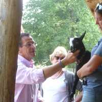 <p>Gov. Dannel Malloy meets a baby goat at the Stamford Museum &amp; Nature Center.</p>