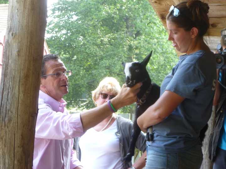 Gov. Dannel Malloy meets a baby goat at the Stamford Museum &amp; Nature Center.