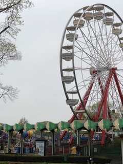 Playland Park Job Fair Comes To Westchester County Center