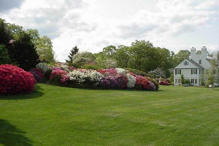 Come to Lasdon Park, Arboretum and Veterans Memorial every Friday in August to learn about plants.