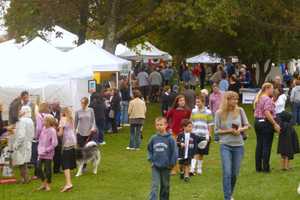Full Day Of Fun Planned At Lewisboro Library Fair