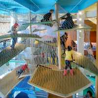 <p>The Westchester Children&#x27;s Museum is located at the North Bathhouse at Playland Park.</p>