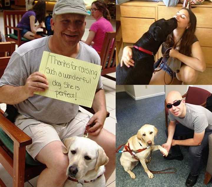 Recent canine graduates of Guiding Eyes for the Blind, whose headquarters is in Yorktown.