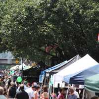 <p>The SoNo Arts Celebration is this weekend.</p>