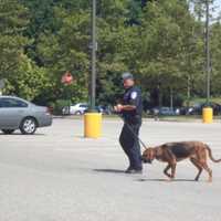 <p>An officer uses a dog to search outside of the A&amp;P at the Cortlandt Town Center that was the site of a bank robbery Wednesday morning. </p>