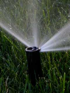 Aquarion Tells Greenwich: No Lawn Watering This Week