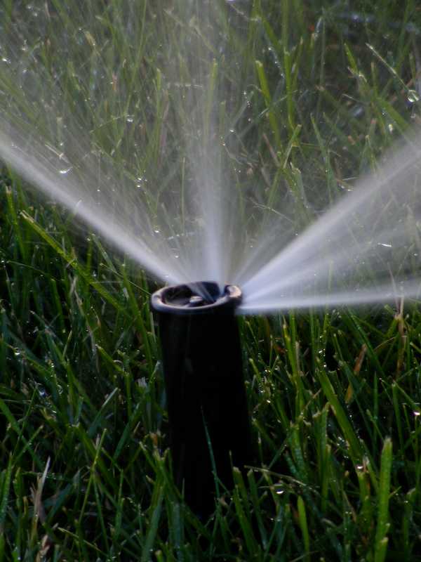 Aquarion Tells Greenwich: No Lawn Watering This Week