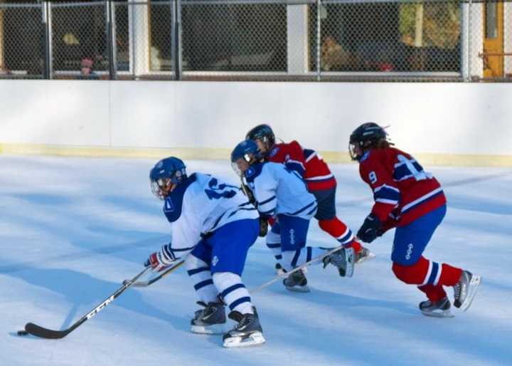 The Pelham Youth Hockey Association hopes to slow the rate of concussions in hockey with a coaches seminar on Sept. 11.