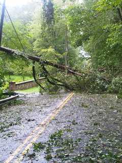Tropical Storm Hermine May Dampen Holiday Weekend In Bridgeport