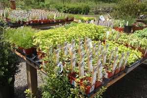 Lewisboro Farms Added to Westchester County Agriculture District