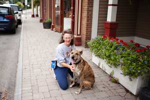 Armonk Animal Shelter Offers Pets High Quality Food 