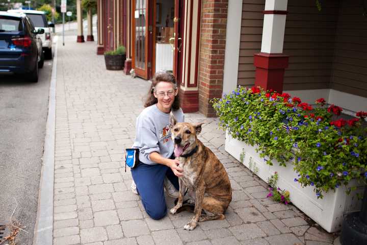 Armonk Animal Shelter Offers Pets High Quality Food 