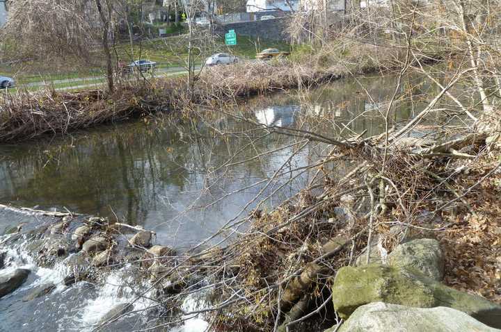 Restoration to the Bronx River Parkway Reservation will improve the wetlands ability to cleanse and absorb stormwater runoff to enhance the attractiveness of the site, Westchester officials said