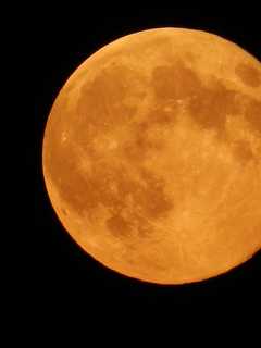 Great Pumpkin Or Harvest Moon? It'll Be A Bright Sky Tonight In Westport