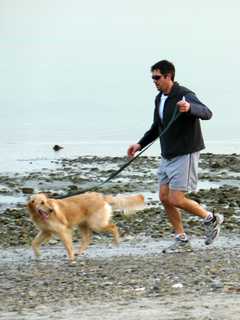 Dogs Allowed At Westport's Compo Beach Starting Saturday