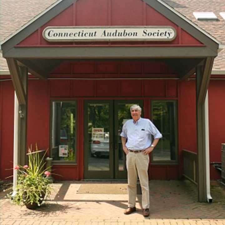 Nelson North, the Director of Operations for the Fairfield Center of the Connecticut Audubon Society, is one of the people in charge of making sure the annual Birds in their Habitat art show goes off with out a hitch. 