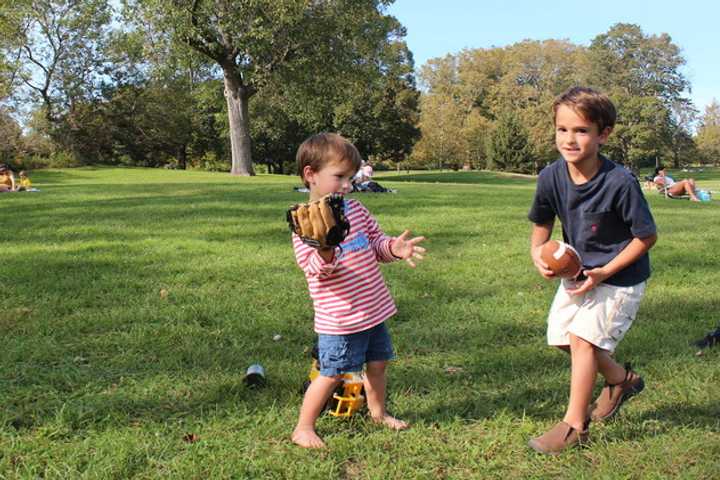 Rye Town Makes Progress On Park Management Outsourcing