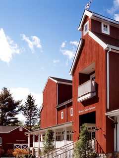 Westport Country Playhouse Plans Animal Adoption Event At Family Show