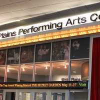 <p>The White Plains Performing Arts Center late Thursday declared its facilities are &quot;pest free&quot; after the nearby Cinema de Lux was cited by the city Building Inspector on Wednesday for bugs and vermin.</p>