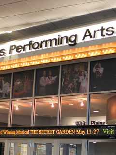 Westchester Performing Arts Center Declares It Is 'Pest Free'