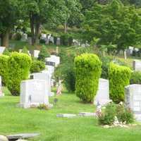 <p>Last week&#x27;s answer: Sleepy Hollow Cemetery.</p>