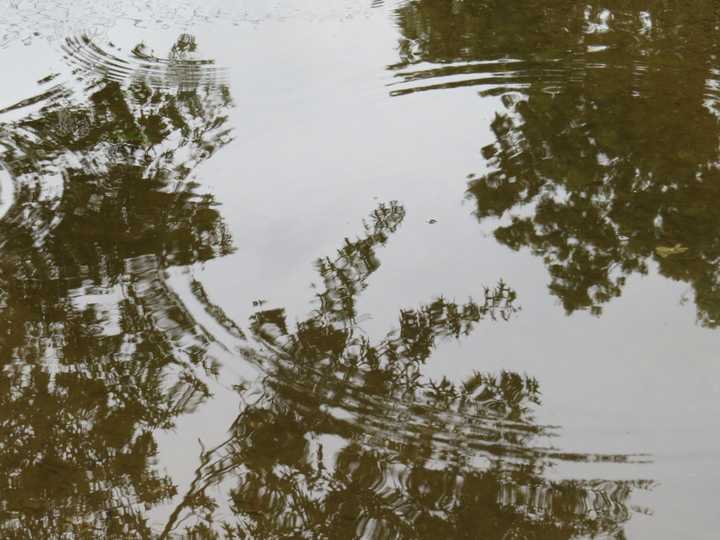 A tornado touched down in Rockland as a severe storm swept through the area late Tuesday night, the National Weather Service said late Wednesday morning.