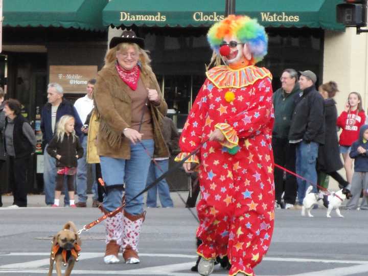 The Tarrytown Halloween Parade is looking for groups, floats and bands to participate in the event on Saturday, Oct. 26. 