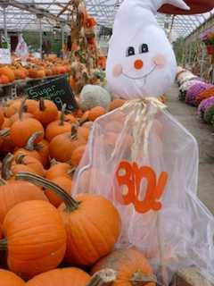 Prepare For Fall Fright With Larchmont's Annual Scarecrow Festival