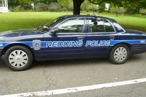 Redding Woman Charged With Operating Unlicensed Dog Kennel