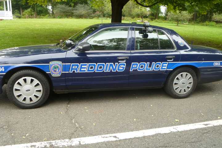 Redding Woman Charged With Operating Unlicensed Dog Kennel