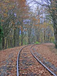Ready For Fall, Armonk?