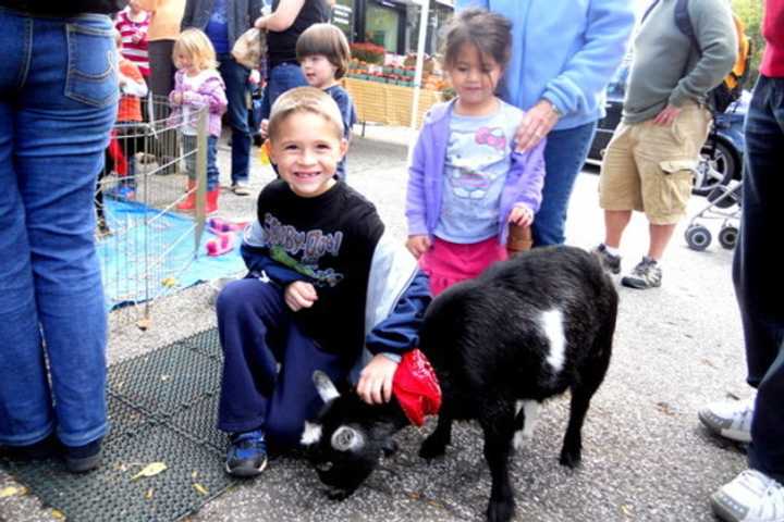 Briarcliff Manor Excited For Saturday's Harvest Fest