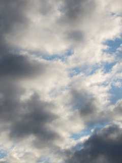Ridgewood's Workweek Starts Soggy, Finishes Warm And Sunny