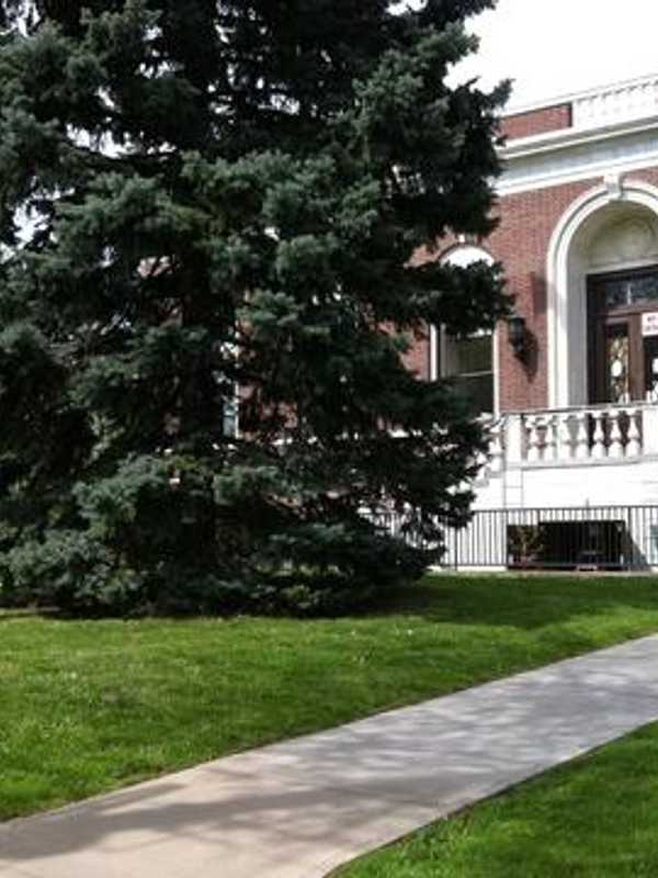 Port Chester-Rye Brook Library Hosting Seminar On Adoption