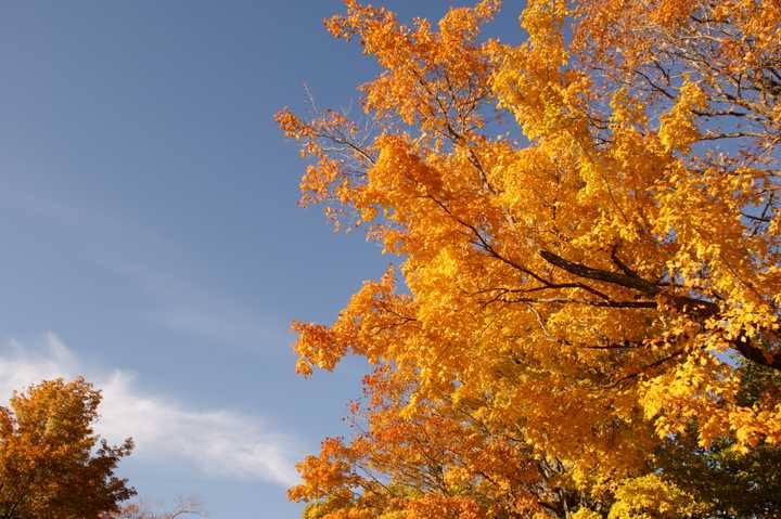 Fairfield County will enjoy a beautiful Columbus Day weekend.