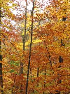 Putnam County Sheriff Offers Tips To Enjoy Autumn Safely