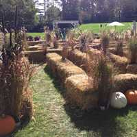 <p>Kids can also play in a haystack maze.</p>