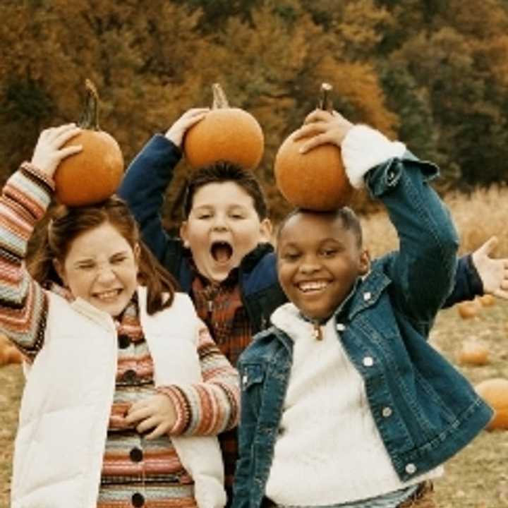 HarvestFest will be celebrated at Westchester&#x27;s Ridge HIll on Oct. 26. 