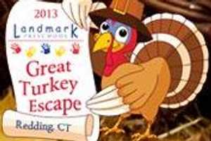 New 5K Adds Spice To Fairfield County's Thanksgiving Race Scene