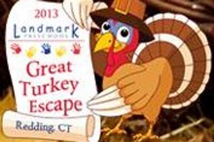 New 5K Adds Spice To Fairfield County's Thanksgiving Race Scene
